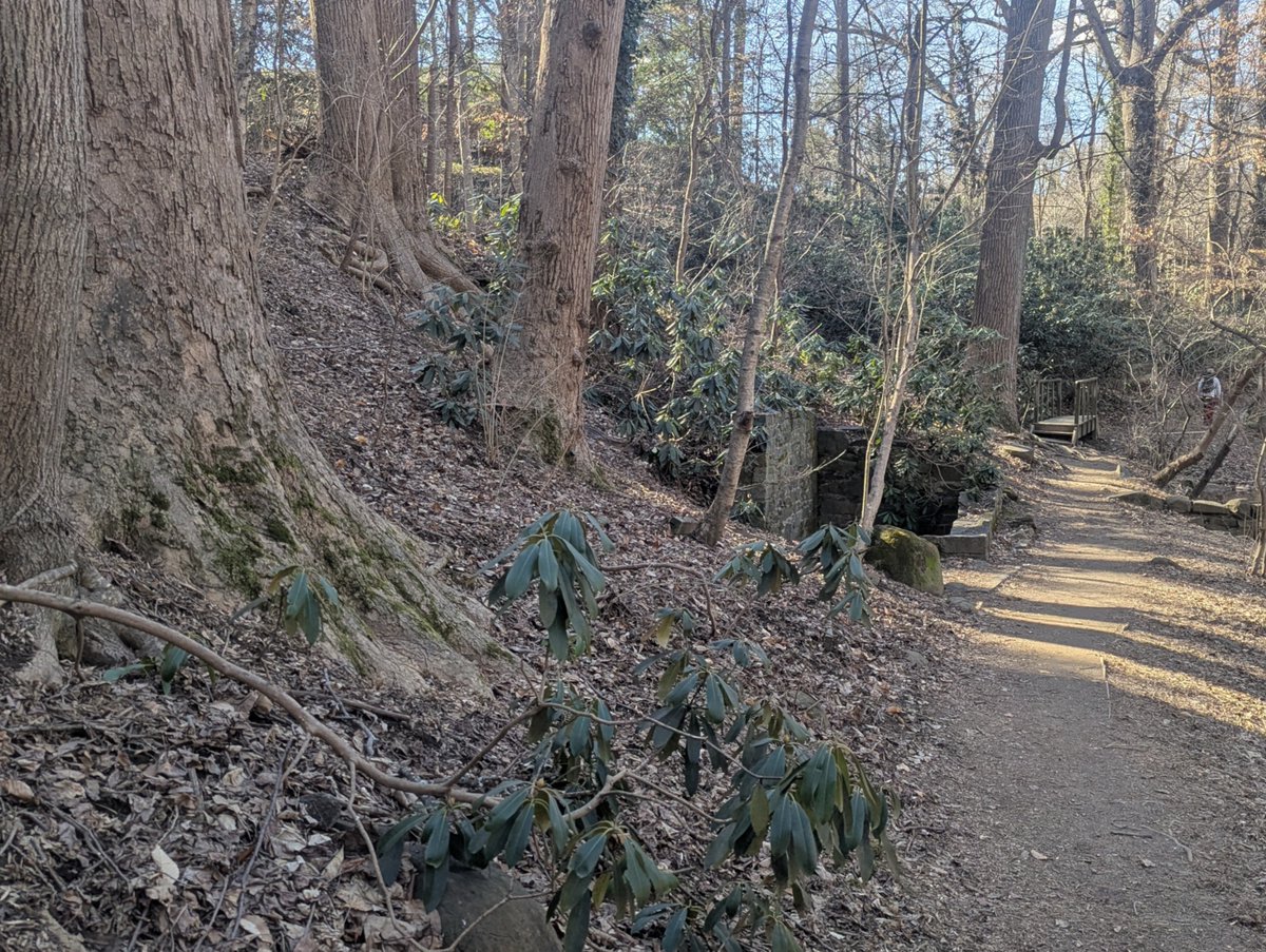Join us at Dumbarton Oaks Park on Saturday 3/22 and 3/29 at 2 pm for a guided tour for #WomensHistoryMonth.

Learn about Beatrix Farrand, a pioneer in her field, who helped shape our city and landscape architecture.  

More details at go.nps.gov/farrand.