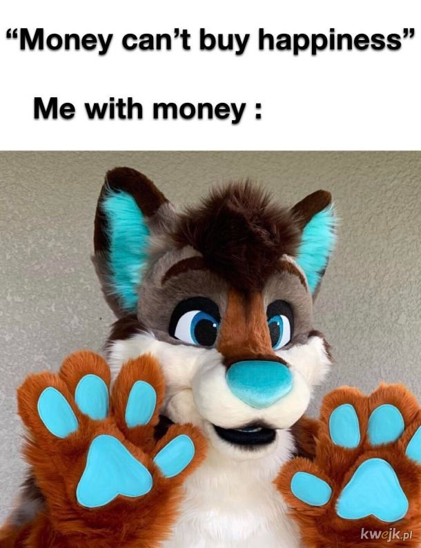 Furry memes (@furrymems) on Twitter photo 