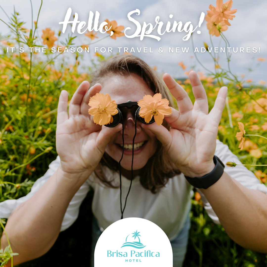 BrisaPacifica's tweet photo. Spring is here, and Encinitas is blooming! From pristine beaches to the San Diego Botanic Garden in full color, it's the perfect time to explore. Stroll the vibrant downtown or relax by the coast—your spring escape awaits! 🌸

#HelloSpring #SpringInEncinitas #BeachsideBliss https://t.co/gOKAQDCSk1