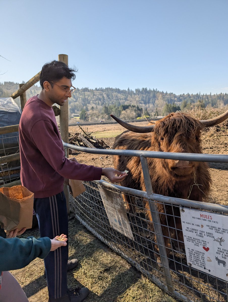 KingLabIPD's tweet image. Hard to believe it has already been three weeks since Naveen defended his PhD thesis!! 🥳 To celebrate, the lab visited a nearby farm for some quality time with baby goats and highland cows🐐🐮