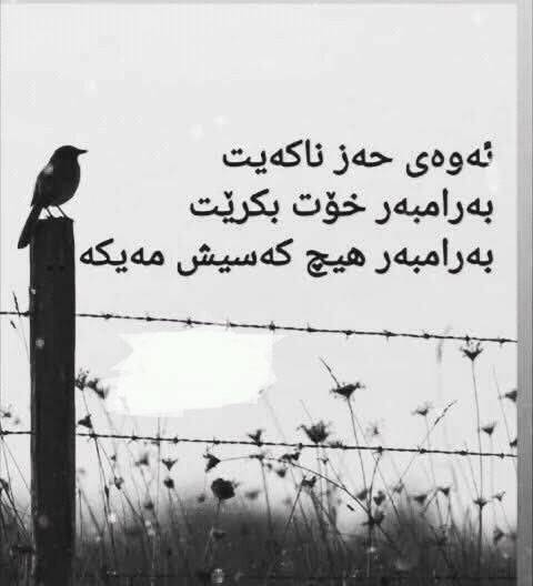 72Kurdish's tweet photo. https://t.co/WAcIMvGPNx