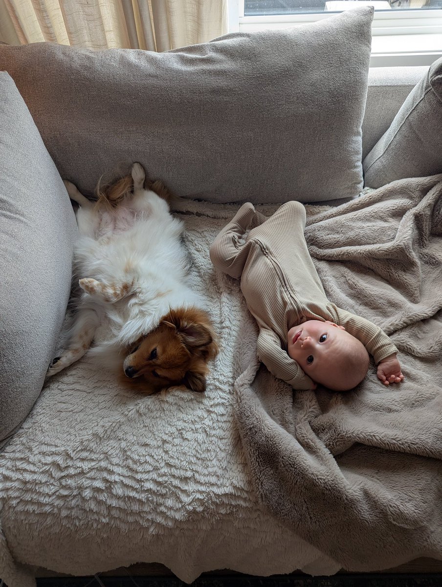 Big stretches from Oakley and Cheeky! 🥹💛

We must say, our pup has truly embraced the added challenge of our life, and has become an awesome fur sister! We can’t wait until we can get a photo of Wylder in the mix 👶🏼🐾👶🏼

🔗: WylderAndOakleyFoundation.org