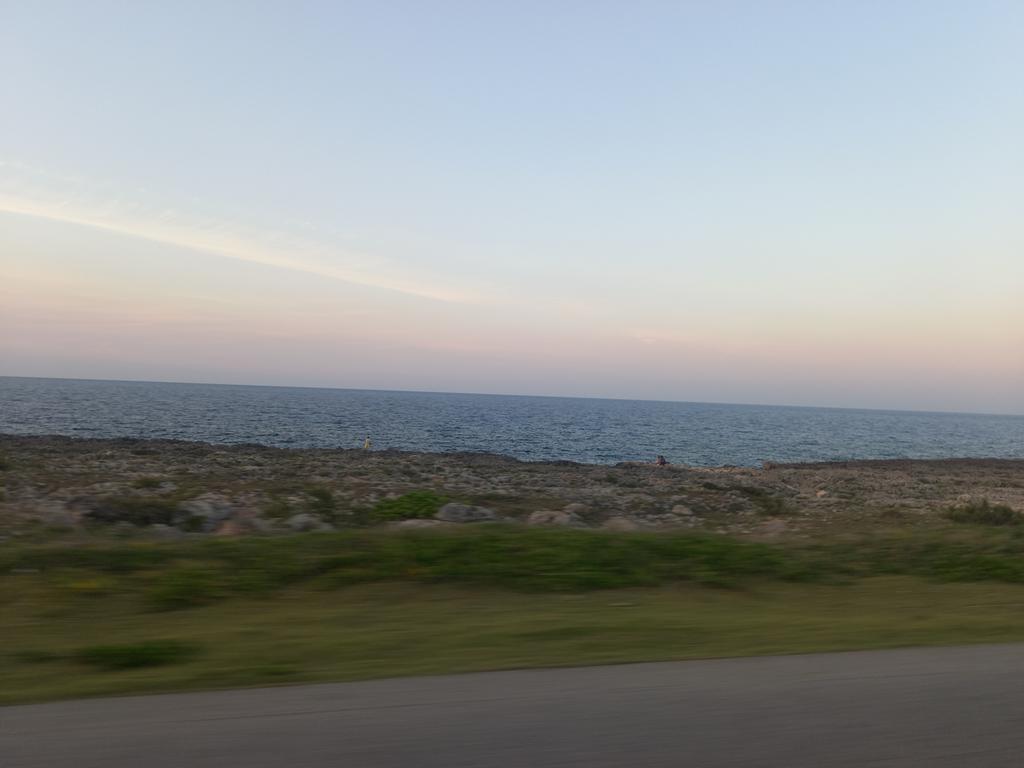 LaboritMarlen's tweet photo. #Cuba, lido es tu cielo y lindo es tu Mar.
#UnidosXCuba
@CtcLaHabana @cubadebatecu @PartidoPCC https://t.co/5ZlmO3TOiB