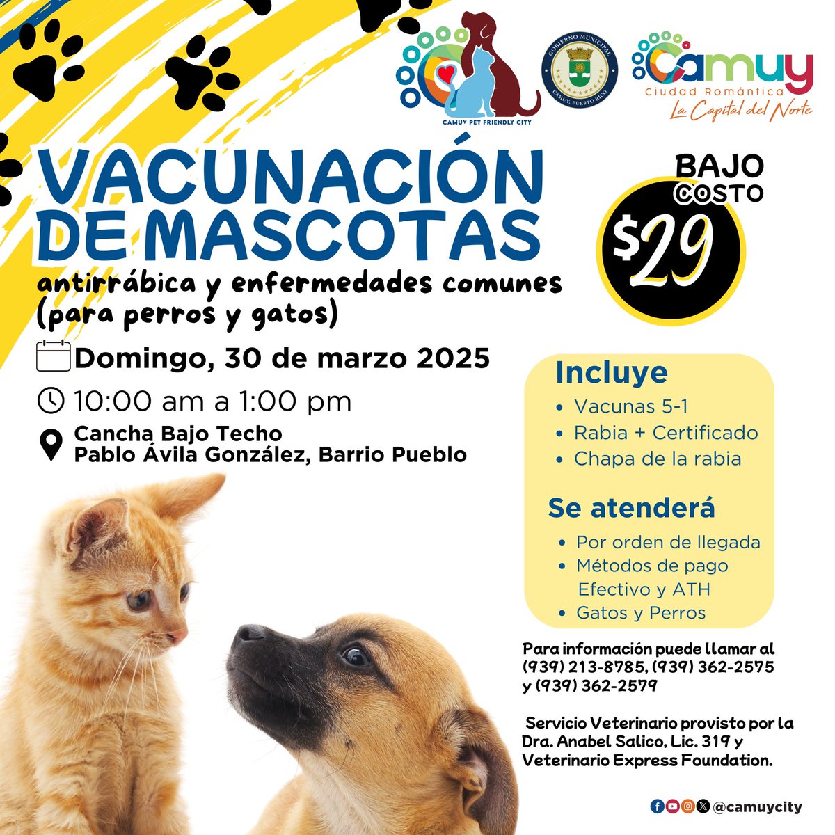 Camuy City tweet media