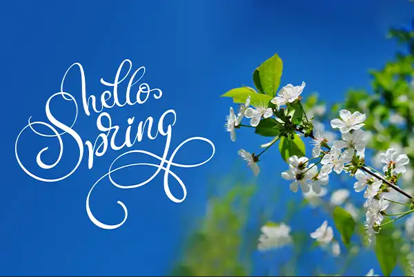 KSAXNJ's tweet photo. 🌳🌹HAPPY SPRING!!!🌻🌺
THURSDAY, 20 MARCH, 2025 https://t.co/MgDPO5TbA0