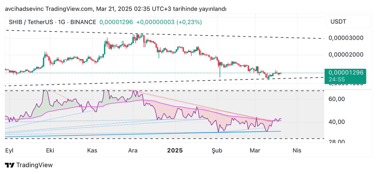 #Shıb yükselişe hazır