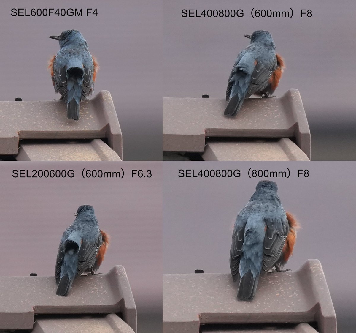 比較第二弾（α1ⅱピクセル等倍）。SEL400800は現場での印象どおり