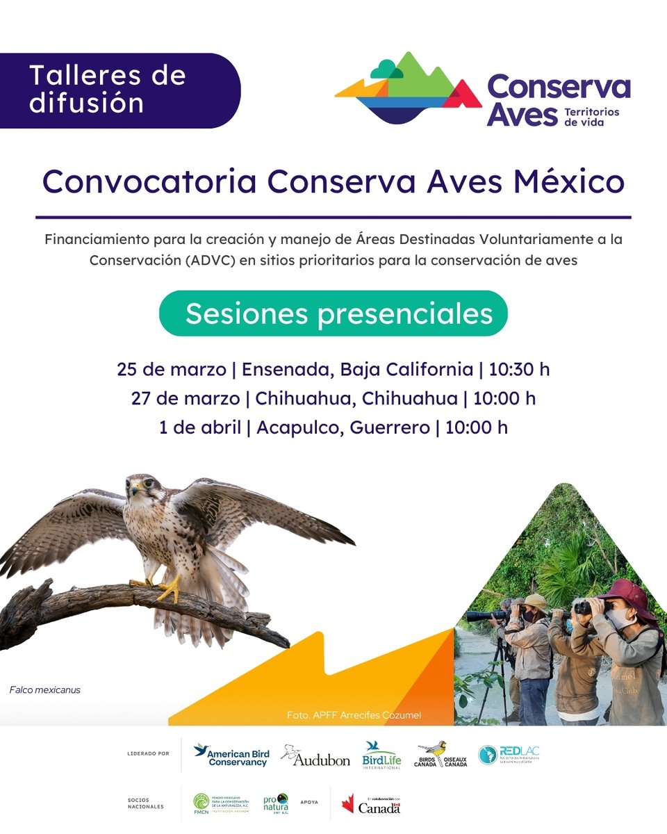 (1/4)🦜📢 ¡Aclara todas tus dudas sobre la convocatoria de Conserva Aves México!

Iniciamos con el primer taller de difusión en Ensenada, Baja California. 🦜✨

 📅 25 de marzo –📍Oficinas GECI (Av. Moctezuma 836, Zona Centro. C.P. 22800)
 
#ConservaAves