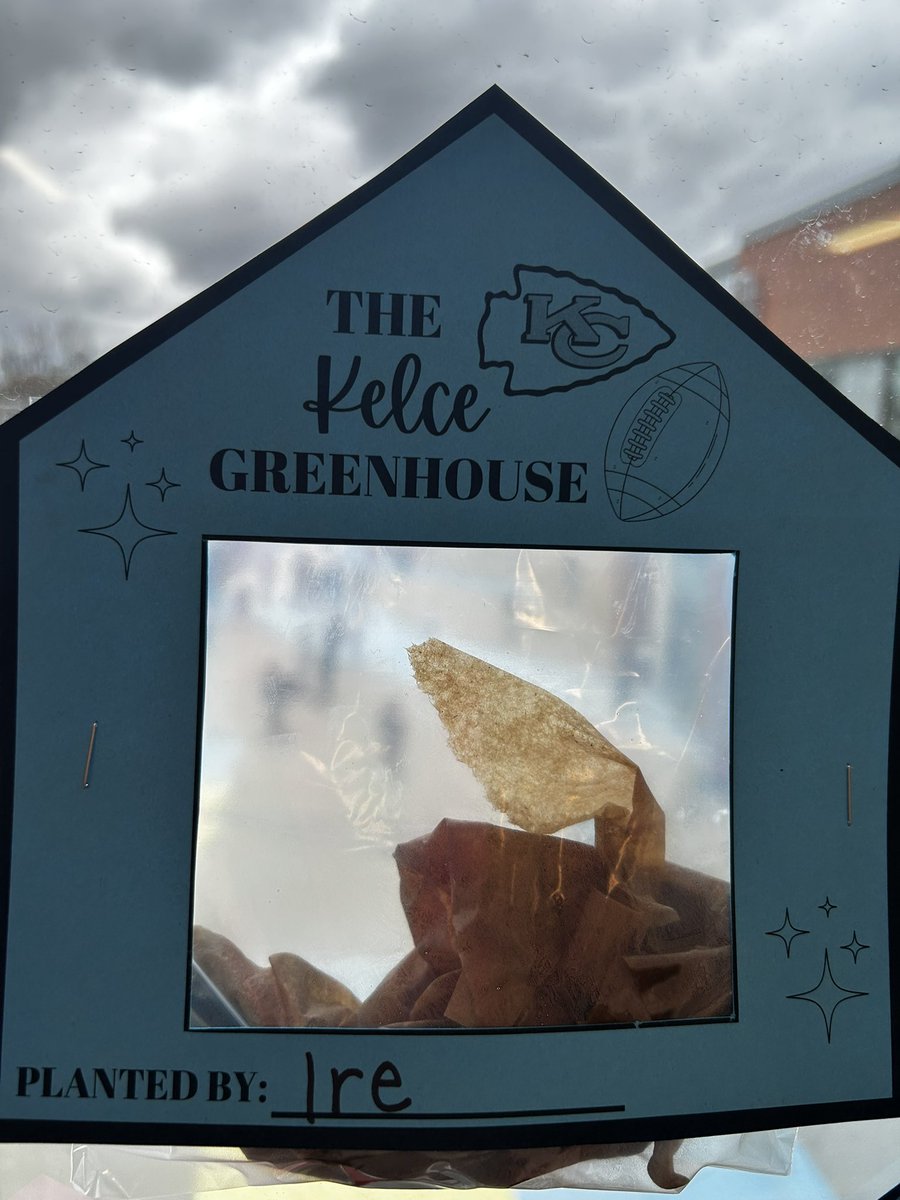 Mrs Schade tweet media