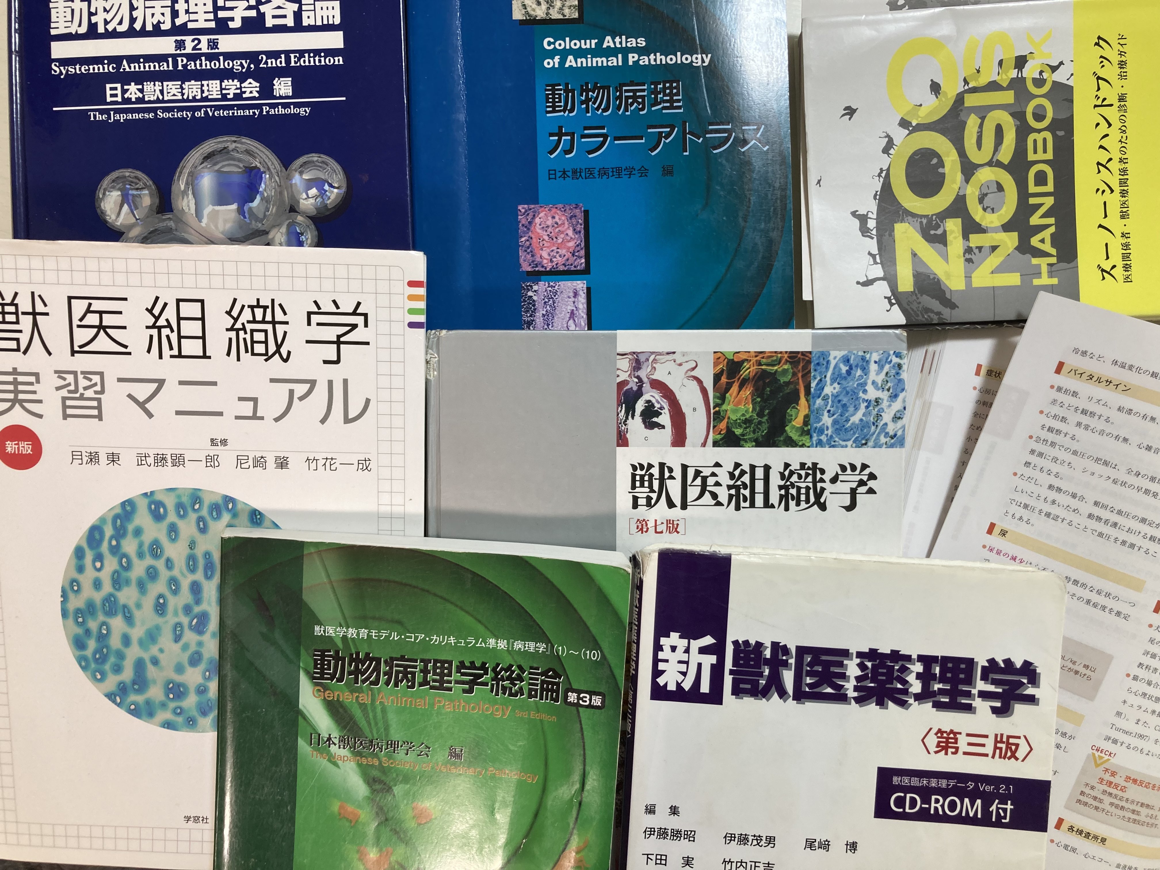 看護過程 - Hledat / X