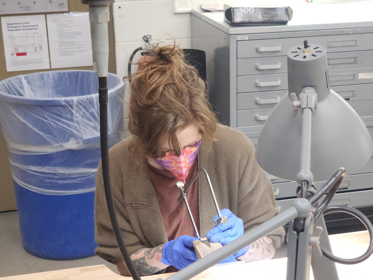 UTEP Biodiversity Collections tweet media