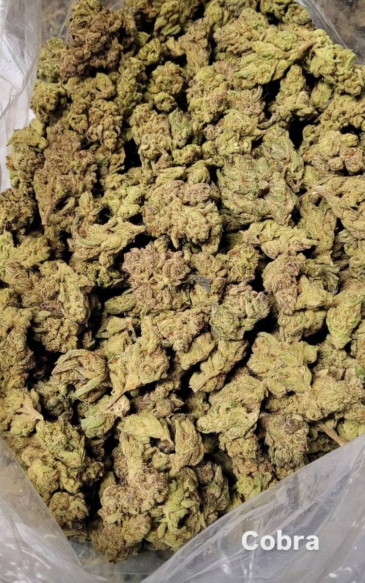 releafremedy's tweet photo. Humboldt grown THCa hemp light dep flower #lightdep #humboldtgrown #thca #hemp #releafremedy #wholesale https://t.co/yZ9CSt5KvA