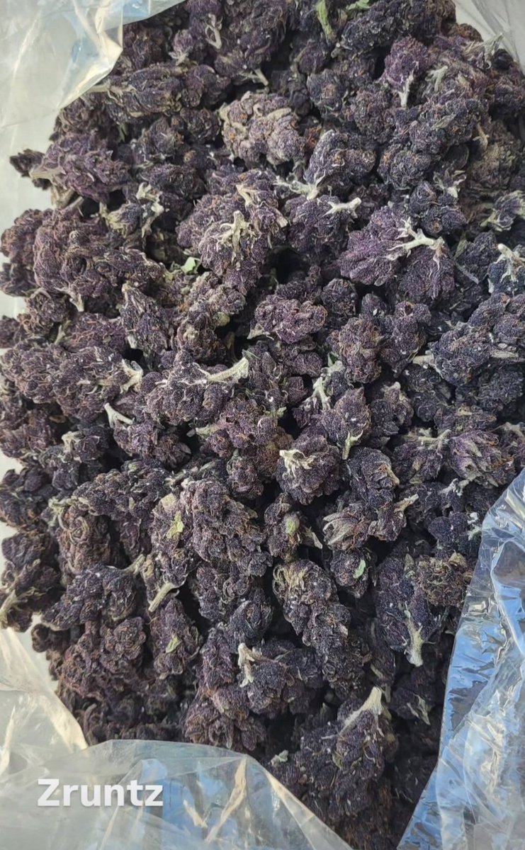 releafremedy's tweet photo. Humboldt grown THCa hemp light dep flower #lightdep #humboldtgrown #thca #hemp #releafremedy #wholesale https://t.co/yZ9CSt5KvA