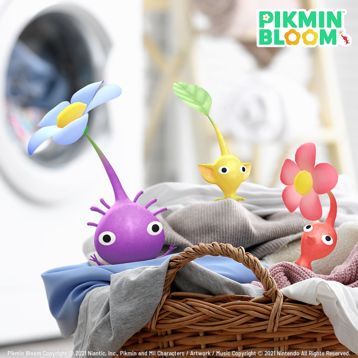 세탁[구글도배,구글찌라시 텔 𝑮𝑺𝑬𝑶8]OTC장외거래.pim