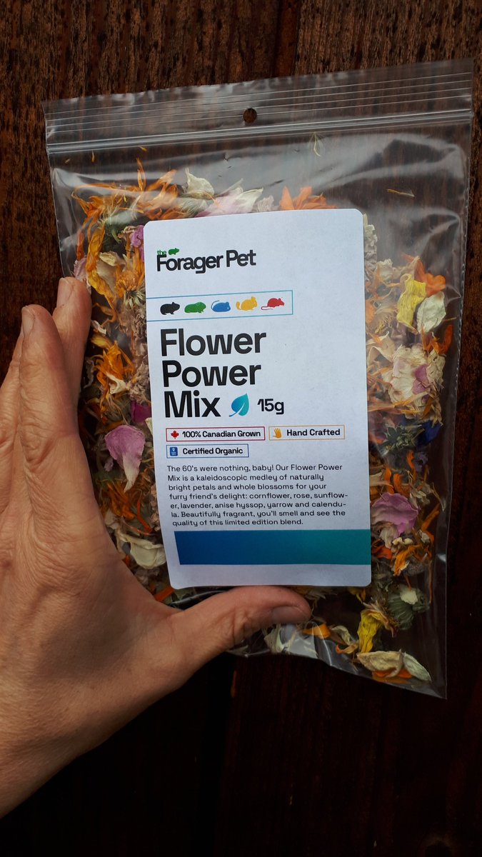 Yes! Hamsters &amp; bunnies deserve good, nutritious and stimulating food! We've got your wee pets munchies covered.
#hamsters