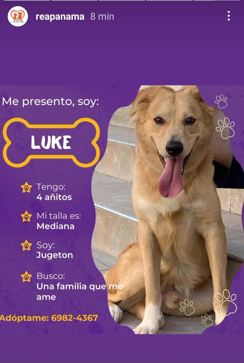 Milagros VS  (@kimesin22) on Twitter photo 