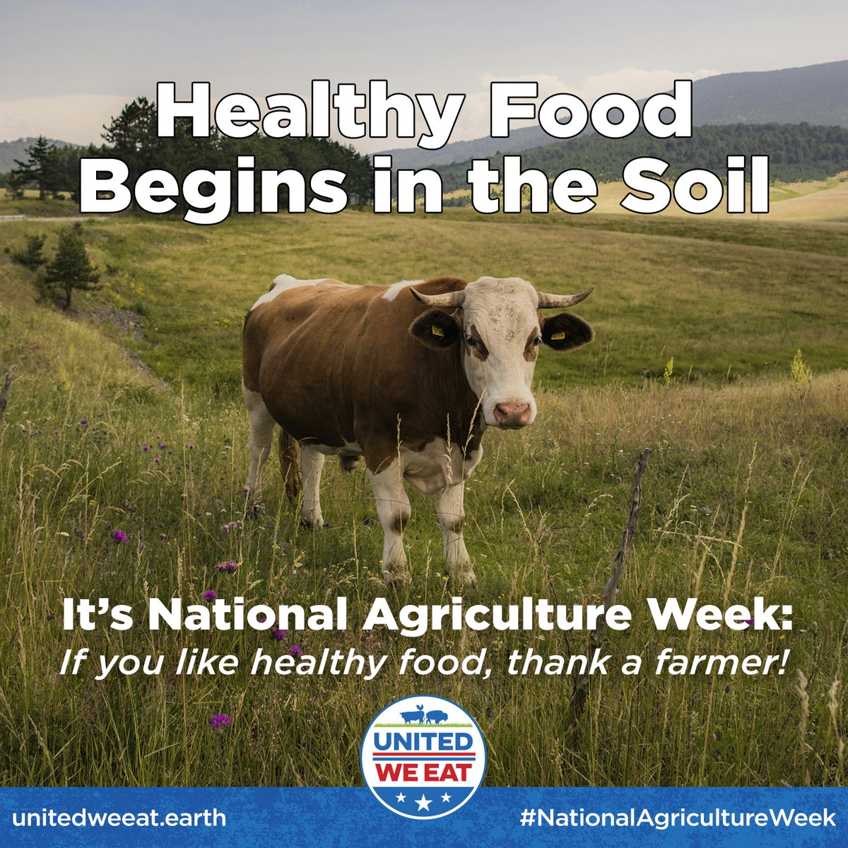 It's National Agriculture Week, remember Healthy Food Begins in the Soil... If you like Healthy Food, Thank a Farmer! #NationalAgricultureWeek #MAHA
