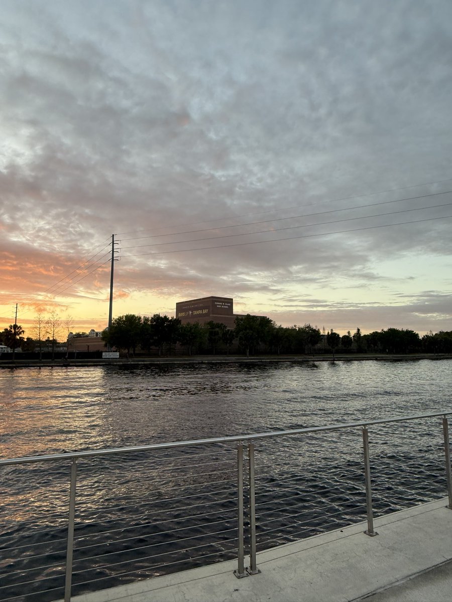 24/7 Rays tweet media