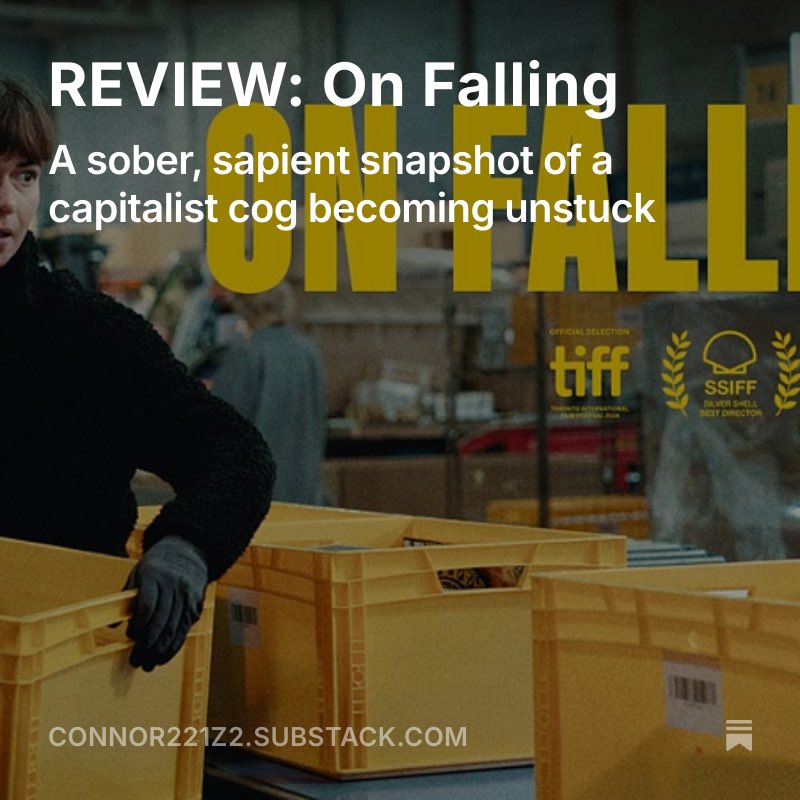 Connor Lightbody tweet media