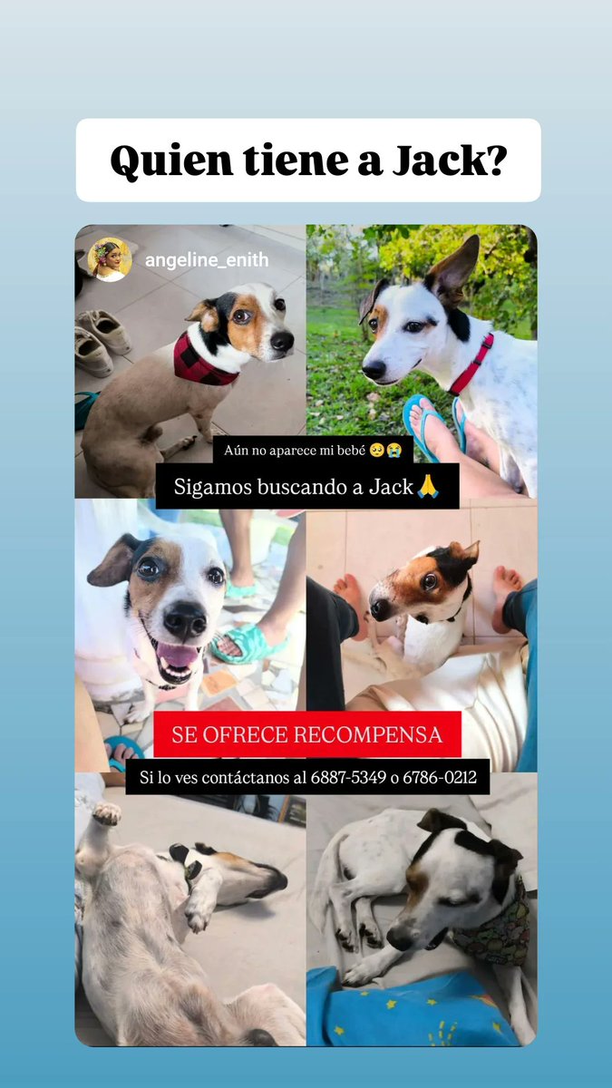 Milagros VS  (@kimesin22) on Twitter photo 