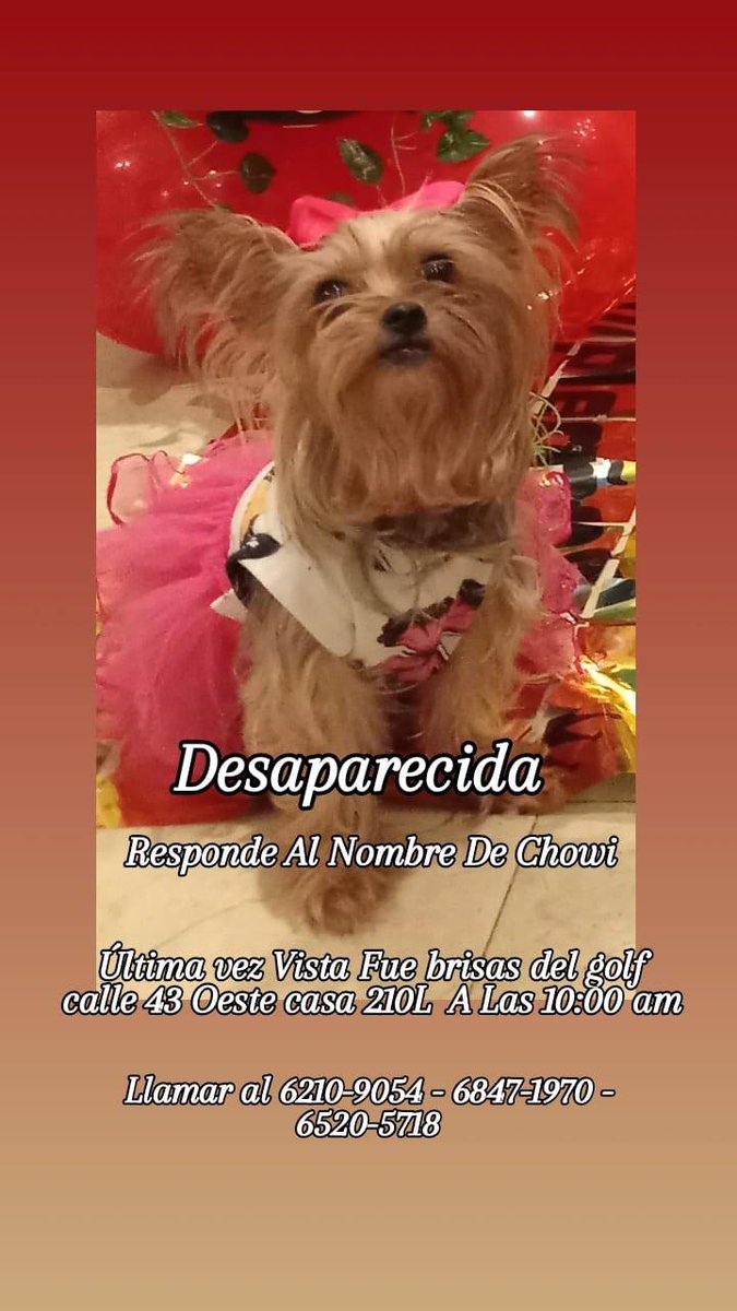 Milagros VS  (@kimesin22) on Twitter photo 