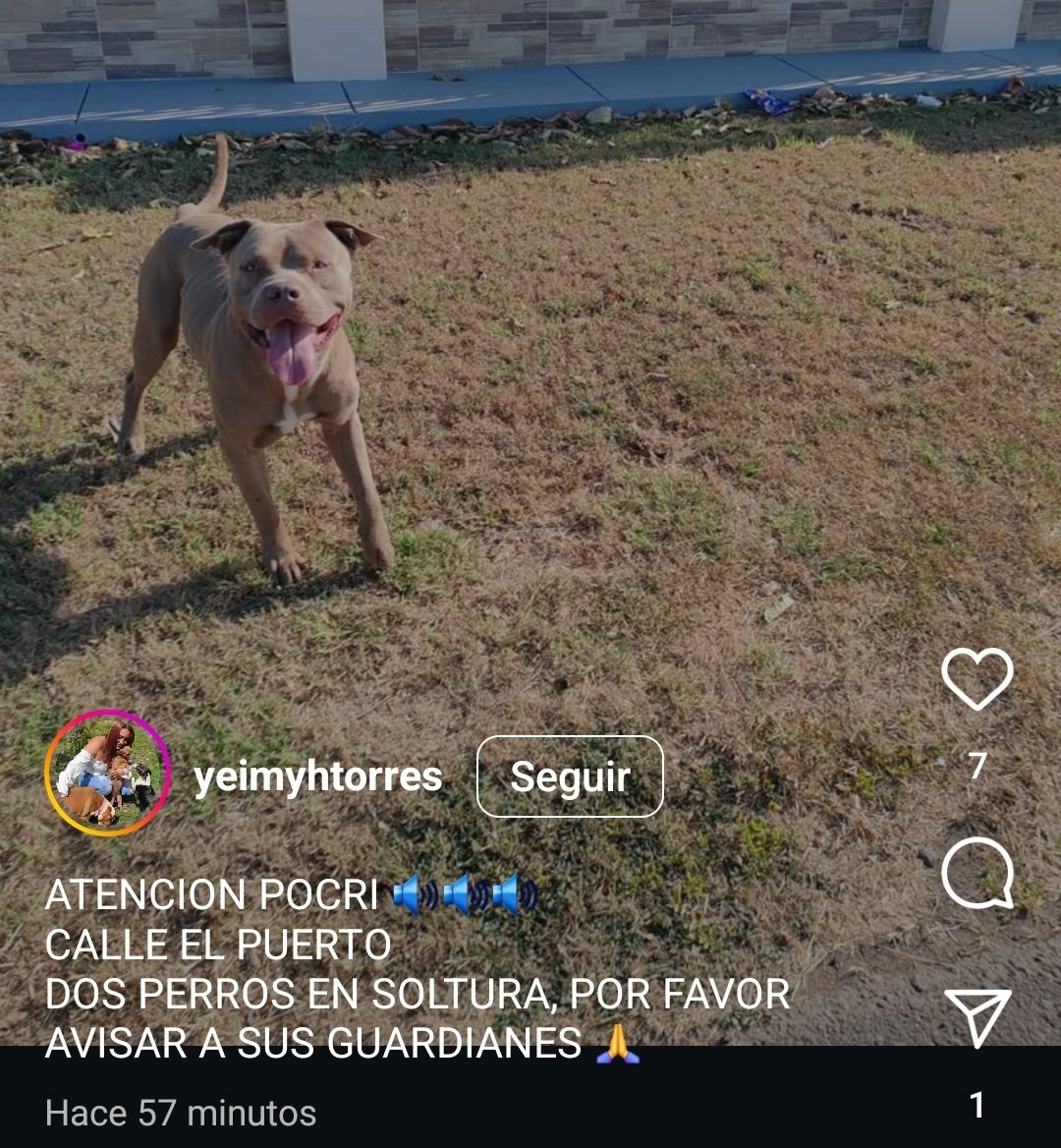 Milagros VS  (@kimesin22) on Twitter photo 