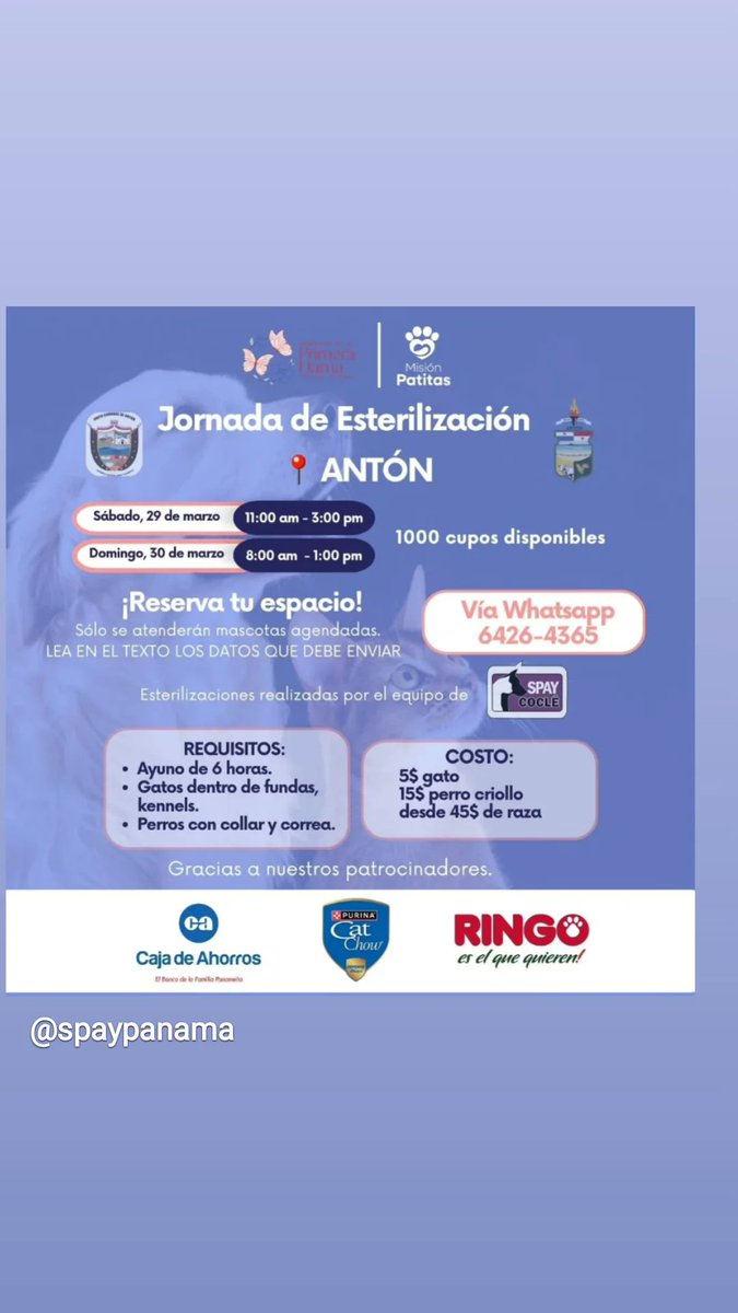 Milagros VS  (@kimesin22) on Twitter photo 