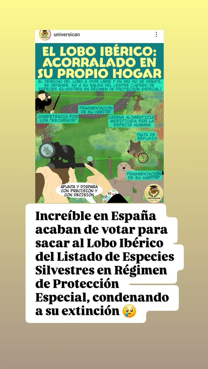 Milagros VS  (@kimesin22) on Twitter photo 