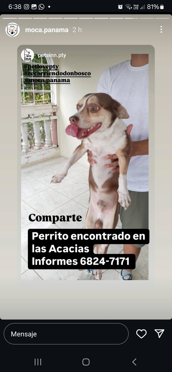 Milagros VS  (@kimesin22) on Twitter photo 