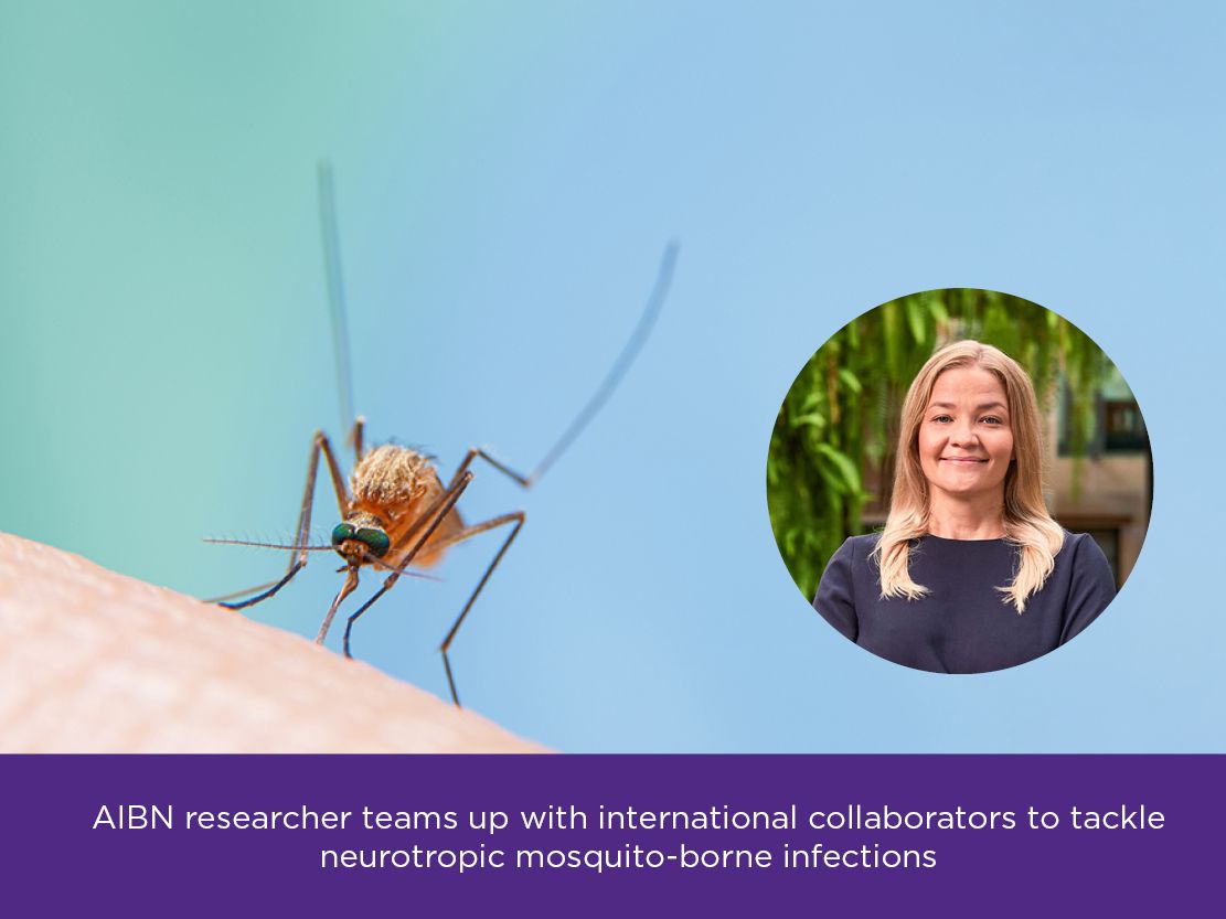 AIBN Research tweet media