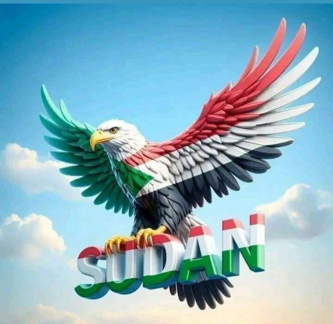 هلا بالجميع