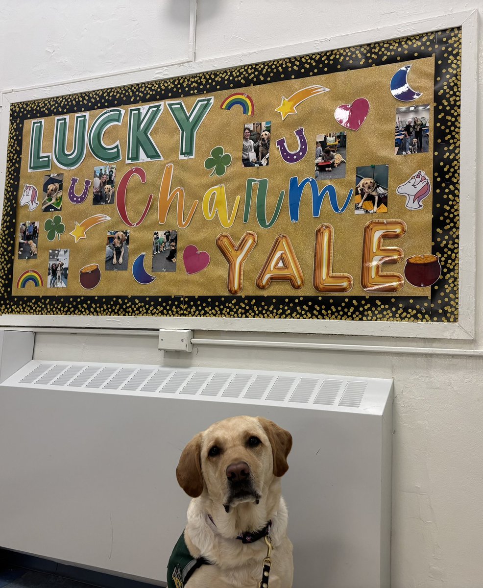 Claudia Scotti (@claudiascotti10) on Twitter photo Yale is our Lucky Charm! ☘️🌈❤️🦄💫 <a href="/PfauBrenda/">Brenda Pfau</a> <a href="/HopewellES/">Hopewell Elementary School</a> <a href="/HVRSD/">Hopewell Valley RSD - Official Account</a> Yale is our Lucky Charm! ☘️🌈❤️🦄💫 <a href="/PfauBrenda/">Brenda Pfau</a> <a href="/HopewellES/">Hopewell Elementary School</a> <a href="/HVRSD/">Hopewell Valley RSD - Official Account</a>