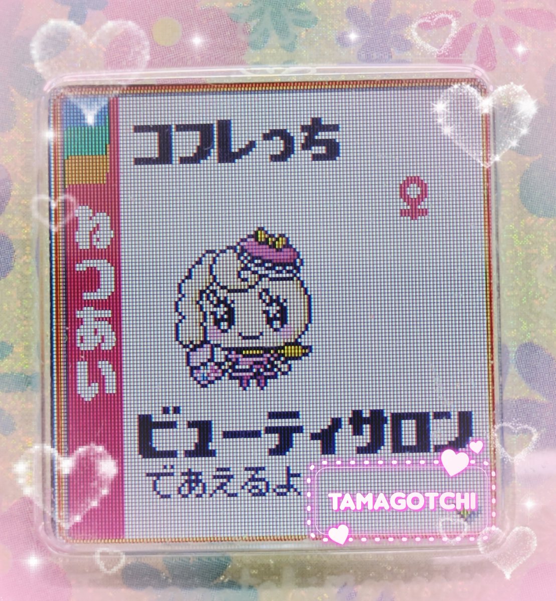 egg642129's tweet photo. パステルみーつのまめっちの結婚候補が絞れた💐💍

#たまごっちユニ 
#TamagotchiUni 
#たまごっちみーつ https://t.co/MjiQuI7eYi