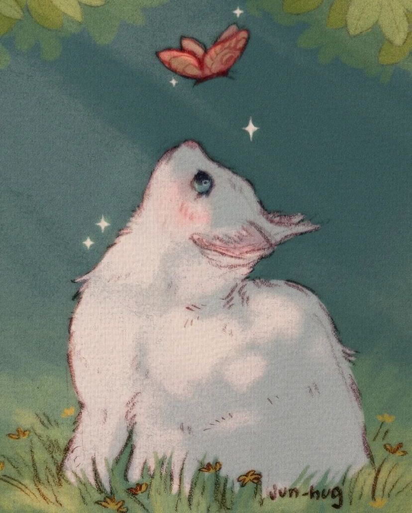 inspéra (@insperarise) on Twitter photo 