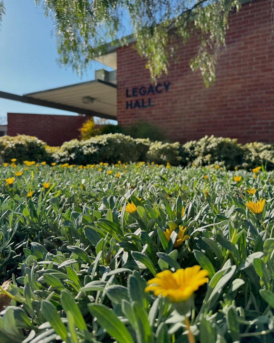 orangecoast's tweet image. It’s starting to feel like spring at Orange Coast College! 🌸🌼🌷

Happy first day of spring, Pirates! 🤩

#GoCoast #OrangeCoastCollege #SpringHasSprung #SpringEquinox