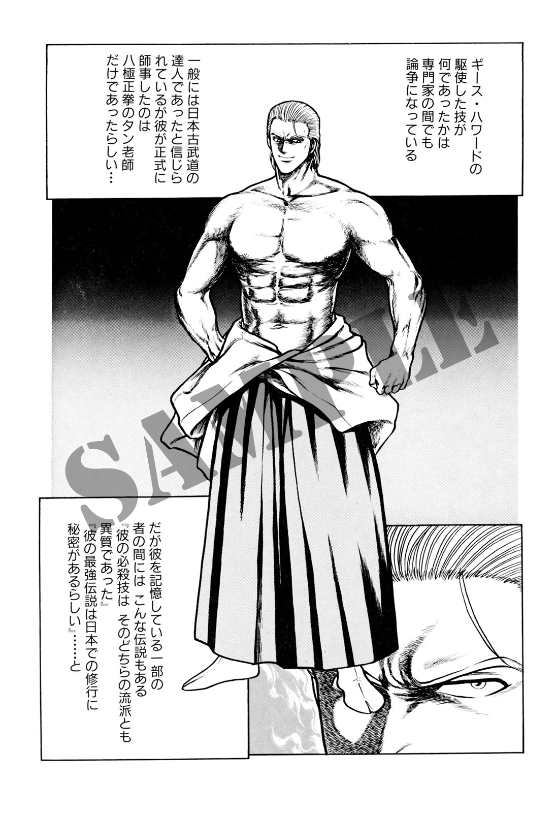 ギース・ハワード外伝 | 天獅子 悦也 |本 | 通販 | Amazon