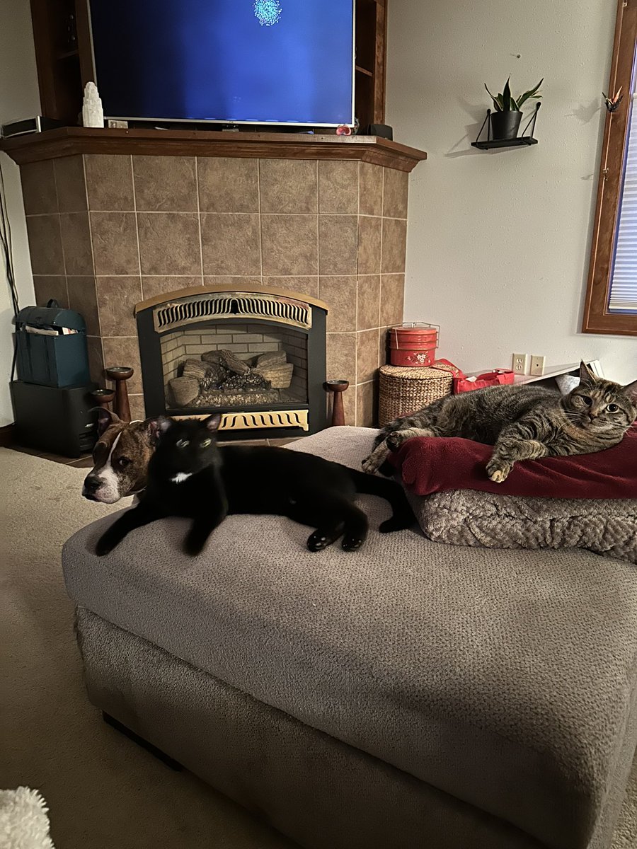 Angeleyes💫 tweet media