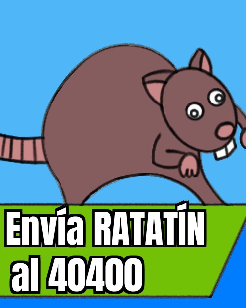 STunometecabra's tweet image. Curimomo de Ratatin @Ratatin_Gaming @Derker_Bluer #drukiblu