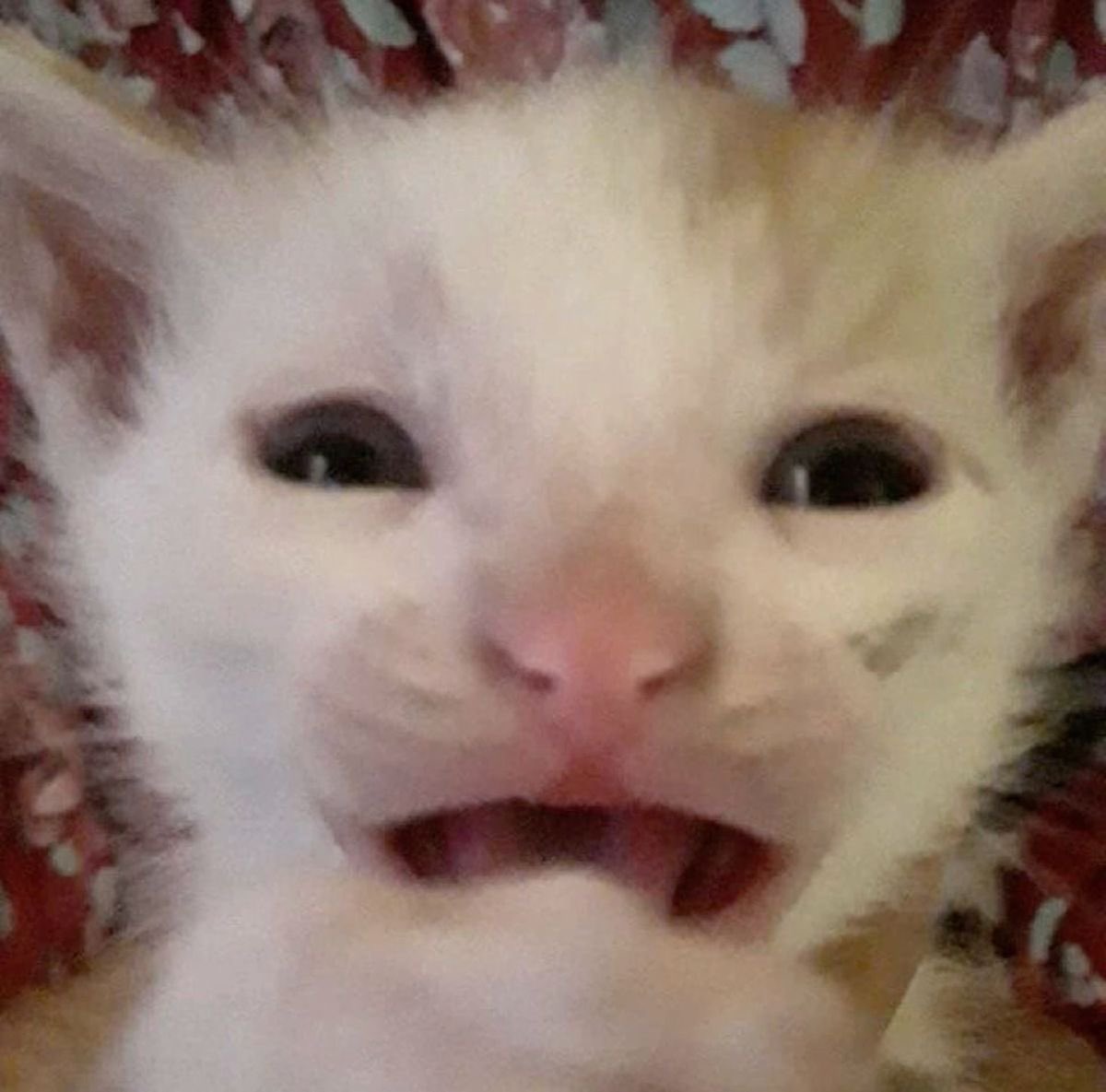 pupphouse's tweet image. i don’t want to tween sjebwkdnej LET ME OUTTT!!!