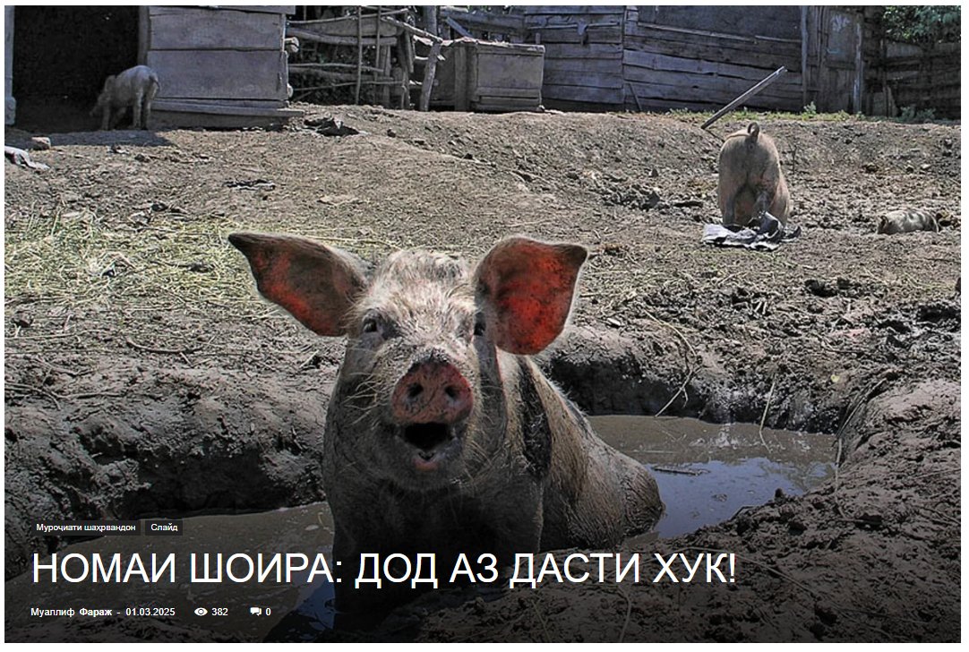 Pig farming is big business in #Tajikistan. It's not to everyone's liking though. An open letter to the Prosecutor General demanded action against a piggery with 1,000 animals that has infused one neighborhood with stench  and filth since 2006 farazh.tj/sahifai-asosy/… Happy Nowruz