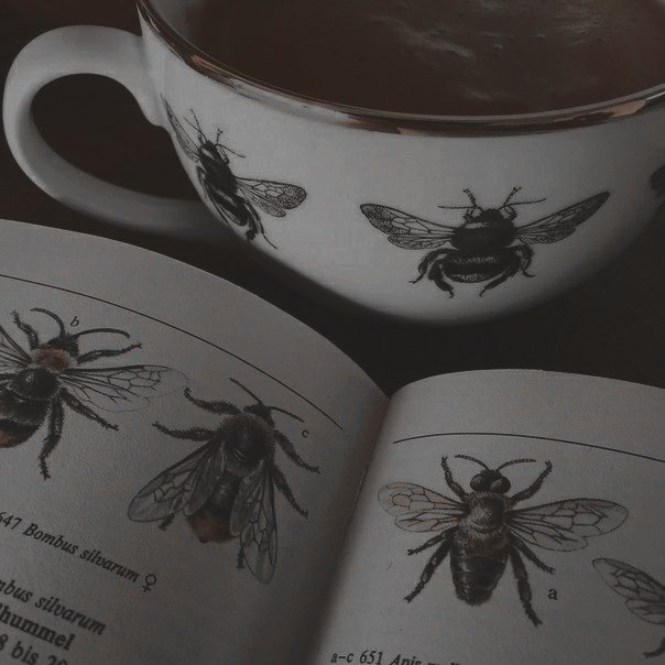 𝐏𝐞𝐫𝐬𝐞𝐟𝐨𝐧𝐞 𝐇𝐢𝐠𝐠𝐬-𝐁𝐮𝐥𝐬𝐭𝐫𝐨𝐝𝐞. (@hiscursedhand) on Twitter photo 