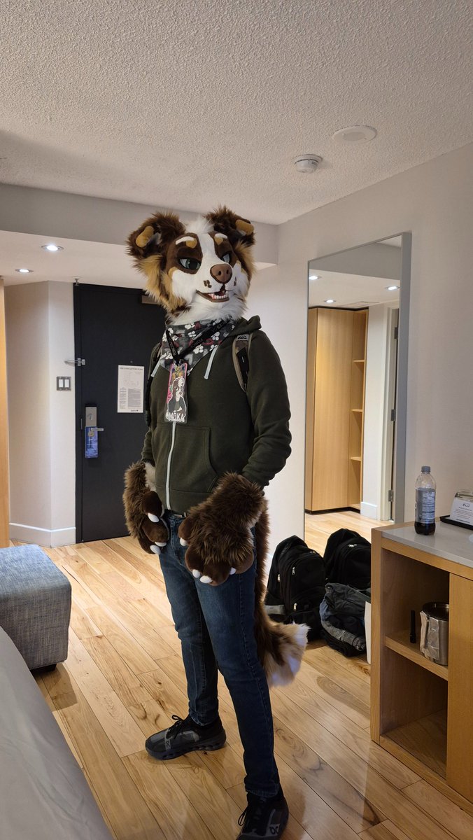 Coffee Addicted Dog tweet media