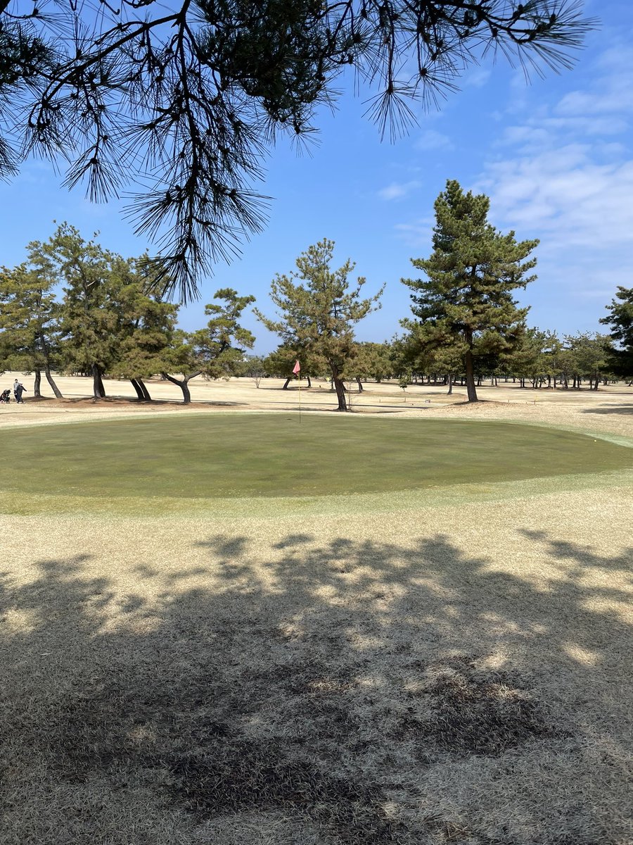 JxvPyx's tweet photo. 先日仕入れたAi設計のE.R.C Soft 2025を試しにやって来た。ドライバーもウェッジもそつない感じだがコスパは悪い。もう少し安いならまた買うかなぁ。#ゴルフボール #ERCsoft https://t.co/TTH2gvdsGT