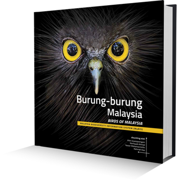 🇲🇾 Malaysia Biodiversity tweet media