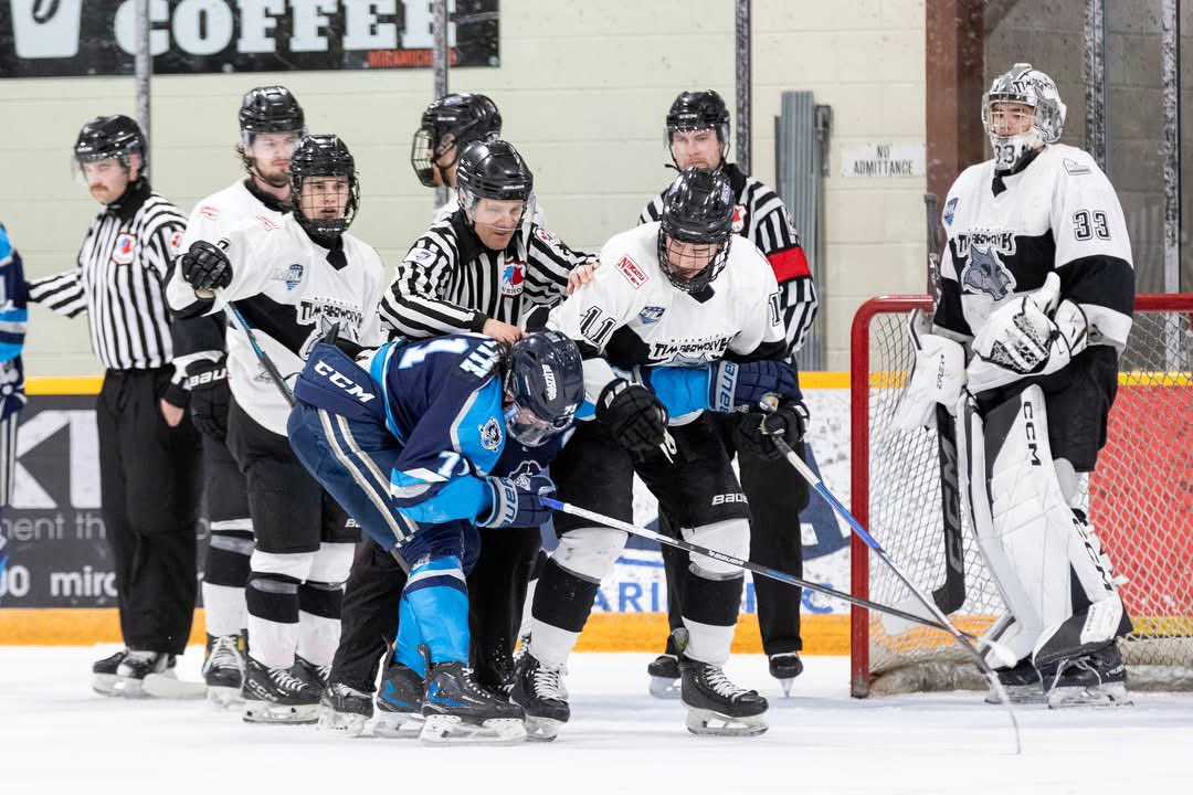 Miramichi Timberwolves tweet media