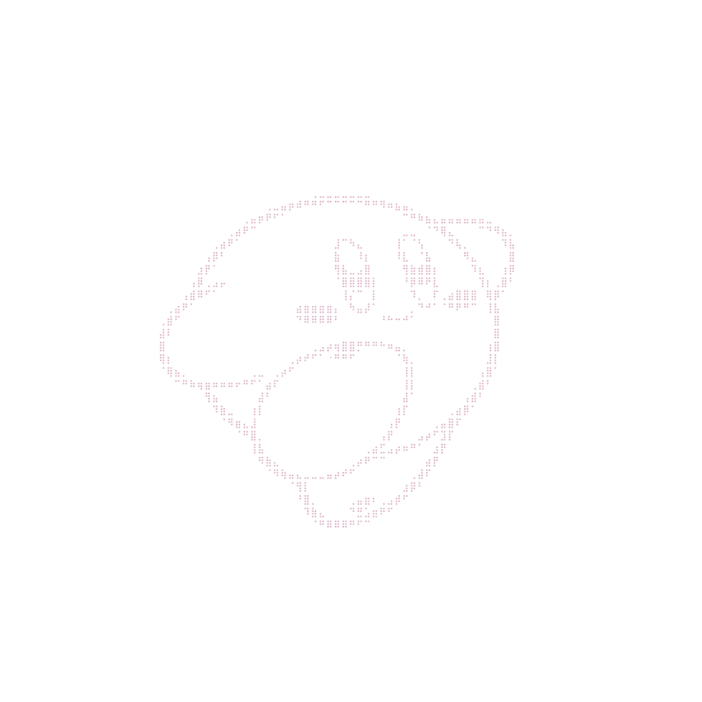 __uninosushi__'s tweet photo. ⠀
⊂ 𓏸 ╹o╹𓏸)つ🍭⭐️彡
⠀ https://t.co/lAbvEPiqhF