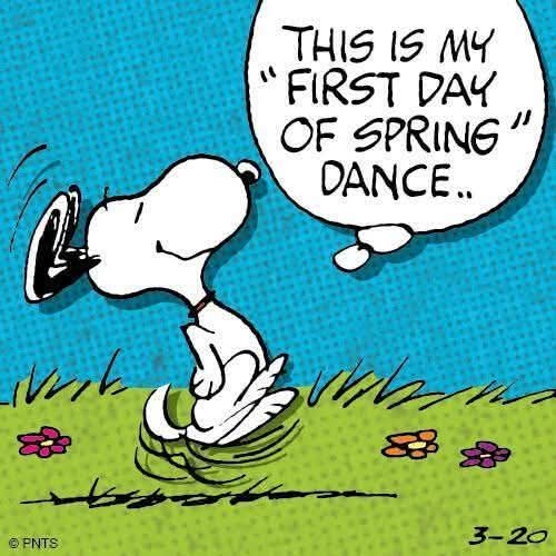uglyrooster4U's tweet image. HAPPY SPRING ❣️🐝❣️
#HappySpringTime