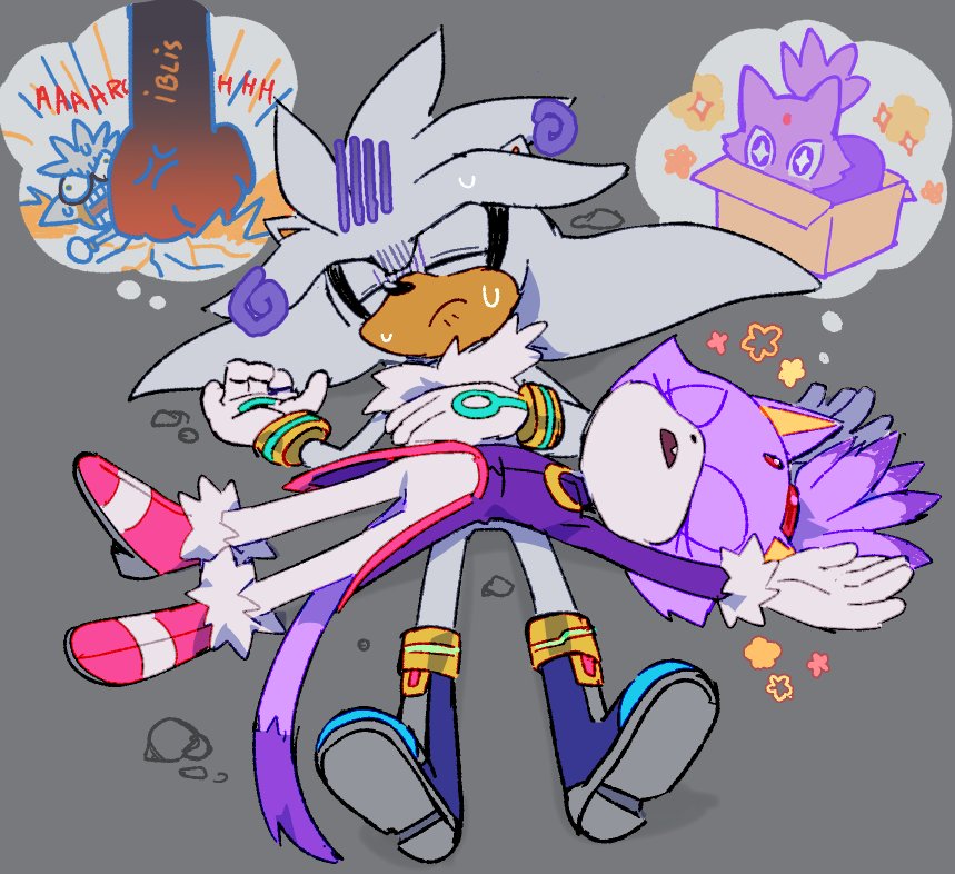 CAFFSTRINK's tweet photo. Blaze is a cat #silvaze https://t.co/lVqRrsdEhz