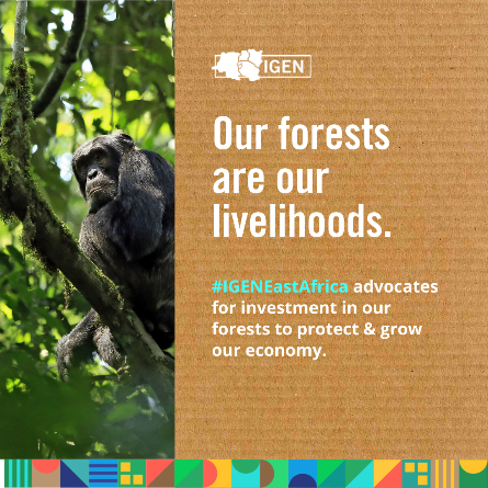 IGENEastAfrica's tweet photo. Marking the International Day of Forests, @IGENEastAfrica calls on @nemaug to strengthen protection measures for Bugoma Forest. A vital ecosystem supporting food production, tourism and livelihoods.
#ConserveForests
#RestoreBugomaForest https://t.co/21sVoksOH1