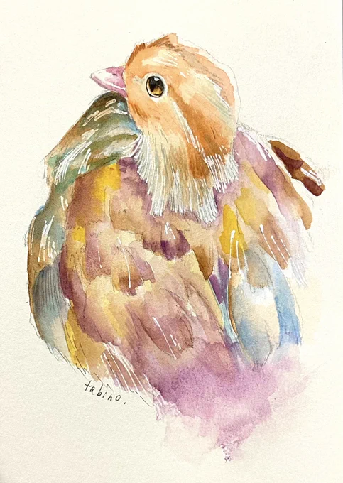 だいぶ前に神戸どうぶつ王国でお写真撮らせて頂いた鳥さんです。#鳥イラスト #水彩 #絵描きさんと繫がりたい 